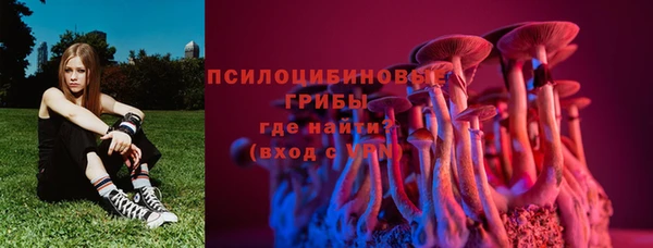 молекула духа Баксан