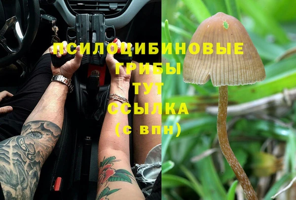прущий лед Балабаново