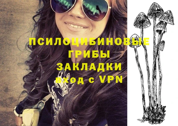 молекула духа Баксан