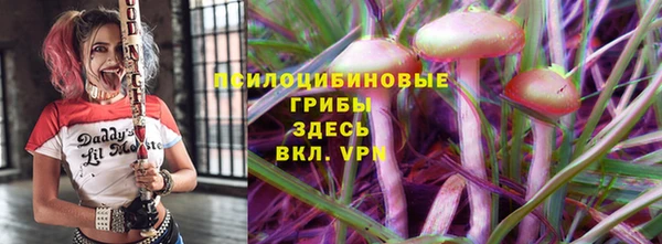 молекула духа Баксан